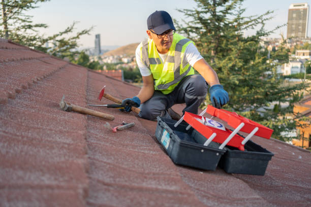 Best Vinyl Siding Installation  in Napa, CA